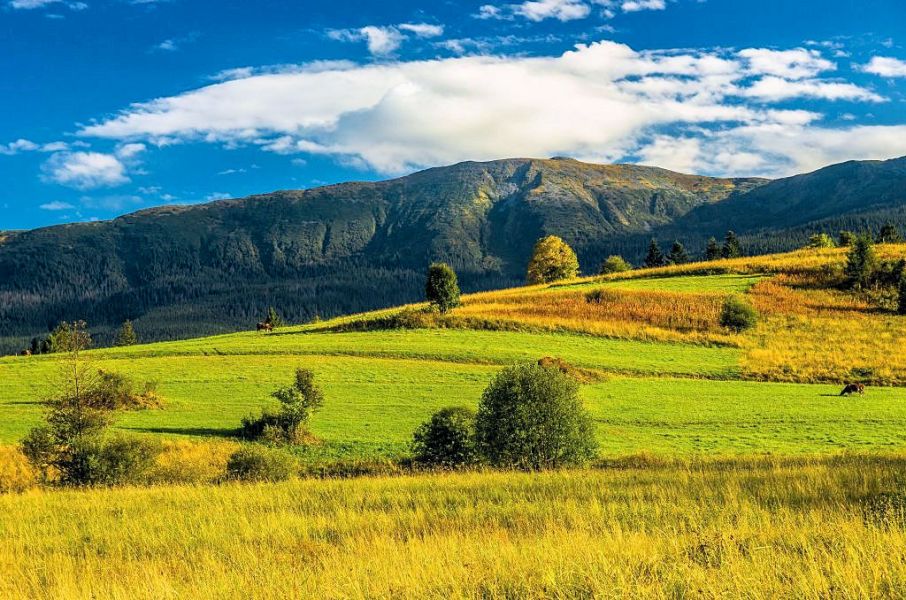 Zawoja - Babia Gra - panorama