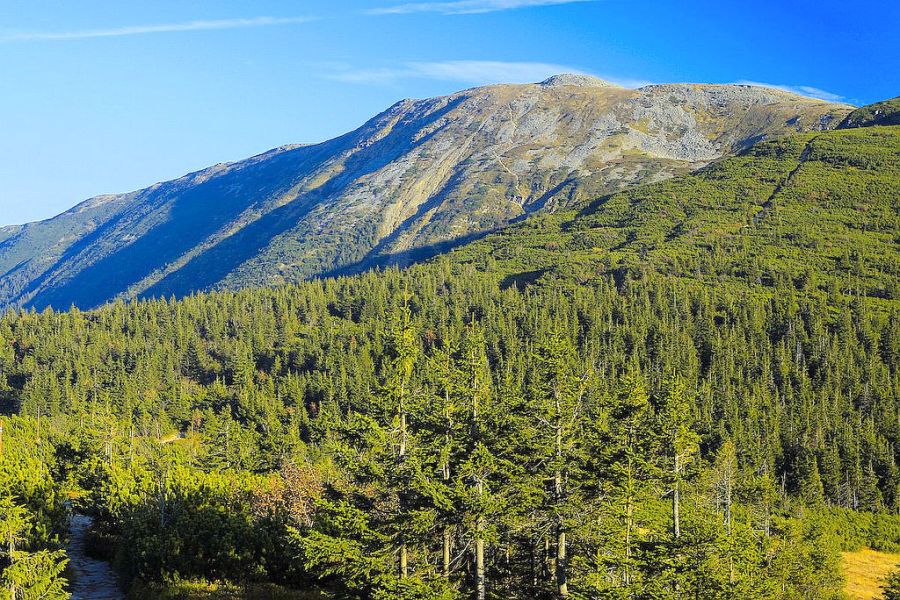 Zawoja - Babia Gra - panorama