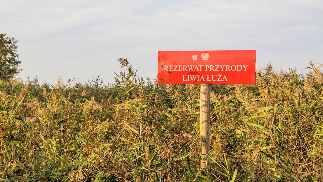 Niechorze - rezerwat przyrody Liwia ua