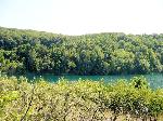 Leśny Raj - wycieczka do Wolińskiego Parku Narodowego - Wapnica - Jeziorko Turkusowe