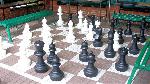 DWD - wietlica letnia - szachy