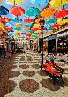 Poczyn Zdrój - magiczna ulica parasoli