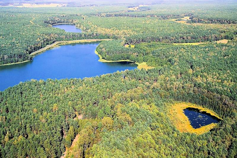 Tuchola - Tucholski Park Krajobrazowy - Bory Tucholskie