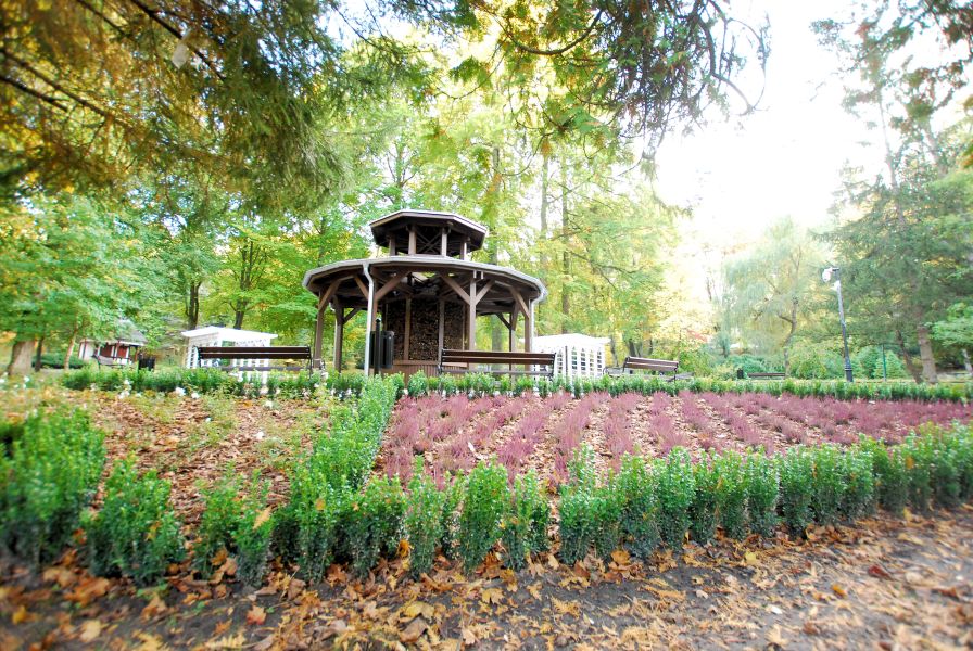 Poczyn Zdrj - Park Zdrojowy, w oddali tnia solankowa