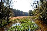 Tuchola - Tucholski Park Krajobrazowy - Nad Stk