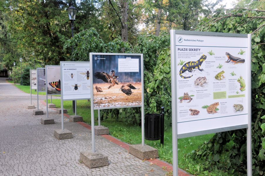 Poczyn Zdrj - Park Zdrojowy - plansze edukacyjne