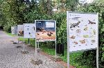 Poczyn Zdrój - Park Zdrojowy - plansze edukacyjne