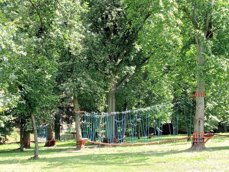 Internat Technikum Lenego - park - park linowy