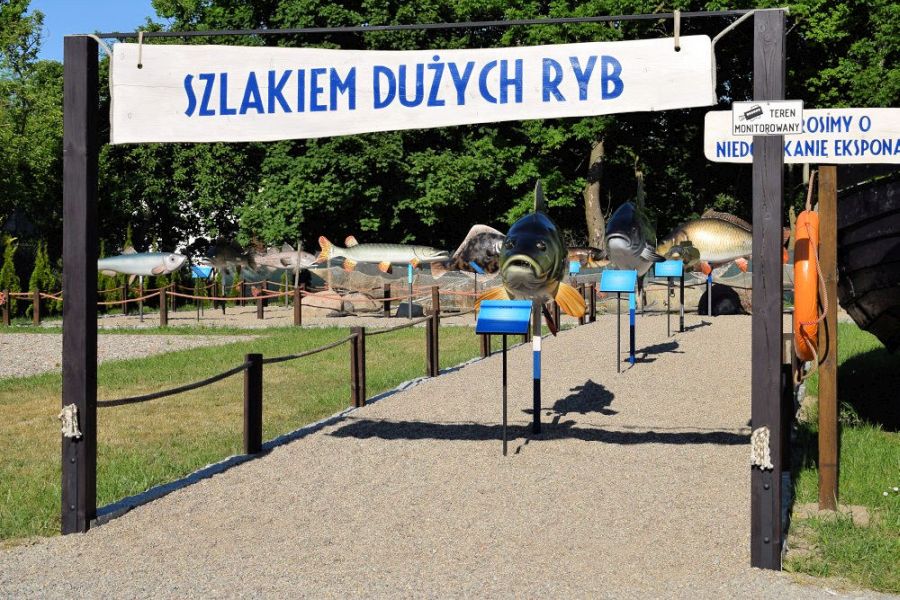 OW BARKA - Galeria Rybacka - Szlakiem Duych Ryb