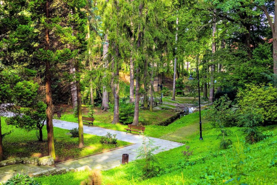 Guchoazy - Park Zdrojowy